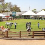 Festa do Morango, Expoabra e desfile de 7 de Setembro aquecem o turismo e devem atrair mais 600 mil pessoas