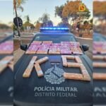 Grávida de 3 meses, mulher é presa com 39 tabletes de maconha no DF