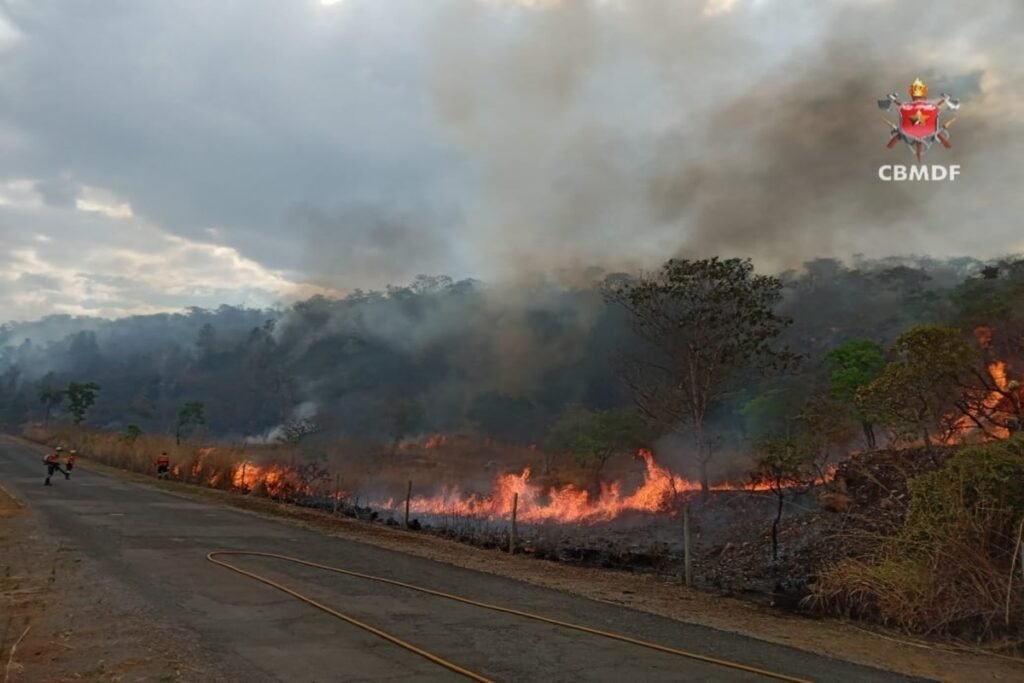 Incêndio atinge 141 hectares de vegetação no DF neste domingo (21/9)