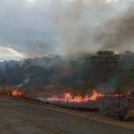 Incêndio atinge 141 hectares de vegetação no DF neste domingo (21/9)