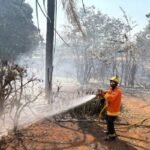 Incêndio florestal volta a atingir o Lago Oeste pelo 2º dia consecutivo