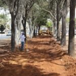 Taguatinga ganha mais 4 km de ciclovia no Pistão Norte