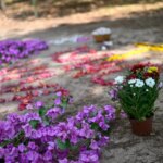 “Educado e simpático”, dizem vizinhos sobre estudante morto no DF