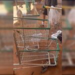 PM recupera 30 carrinhos de compras usados em furtos de cabos