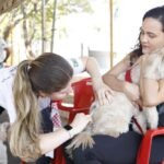 Pets ganham atenção especial no DF com mutirões de vacinação
