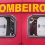 Três capivaras são encontradas mortas em via do DF