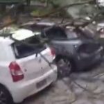 Após temporal, carros estacionados na Asa Sul são atingidos por árvore