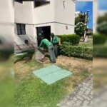 Brasiliense se desespera com “invasão de baratas” em resort de luxo