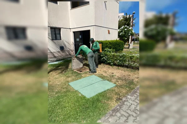 Brasiliense se desespera com “invasão de baratas” em resort de luxo