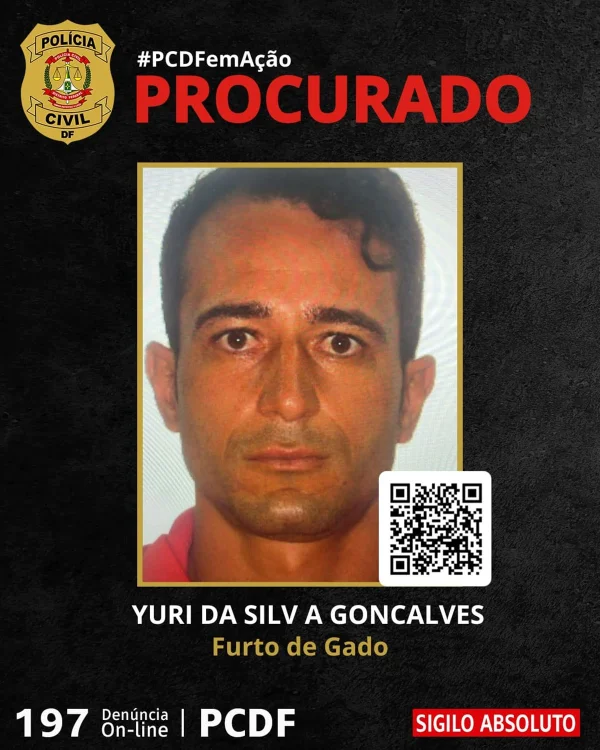 Ladrões de gado escapam de cerco policial e são procurados no DF