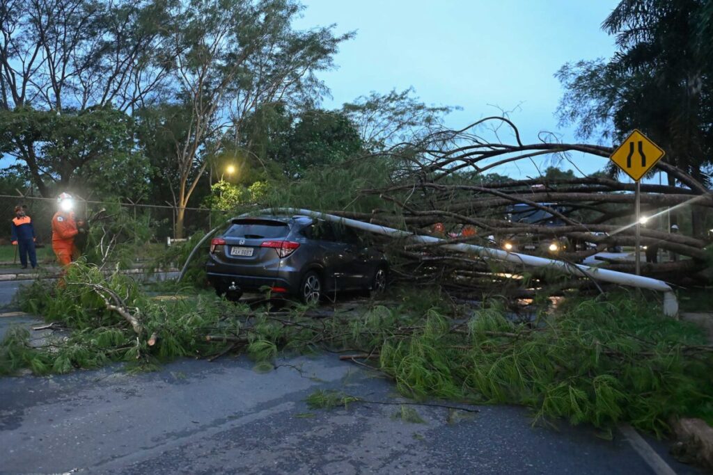 Motorista atingida por poste passava no exato momento que árvore caiu