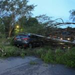 Motorista atingida por poste passava no exato momento que árvore caiu