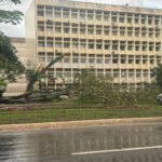 Temporal em Brasília causa alagamento e queda de árvore na Asa Sul