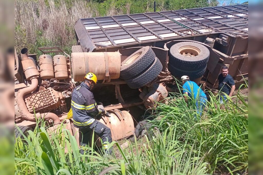 Caminhão com 75 bois tomba e motorista fica preso às ferragens