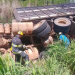 Caminhão com 75 bois tomba e motorista fica preso às ferragens