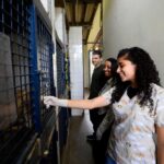 DF amplia equipe de vigilância ambiental com novos veterinários