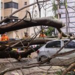 Dona de carro destruído em queda de árvore deverá ser indenizada
