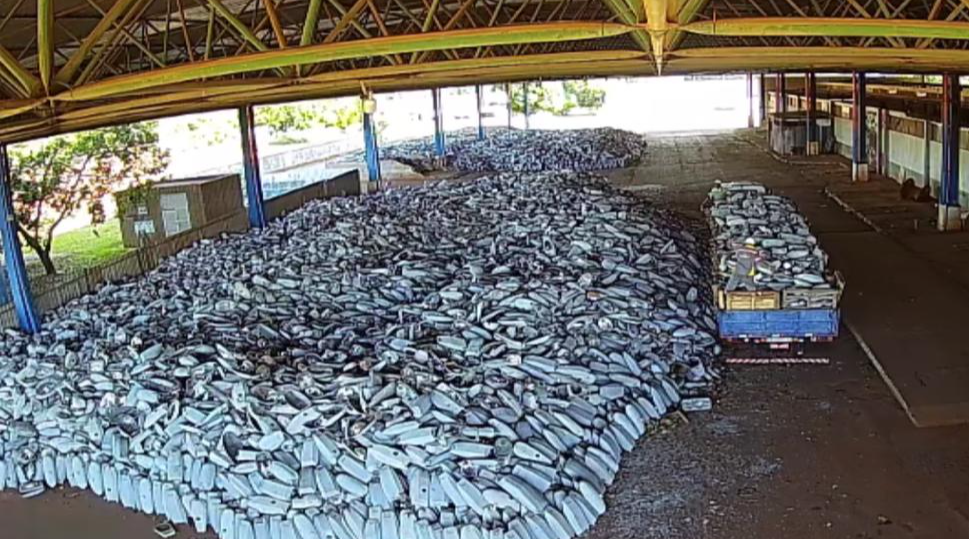 Leilão milionário da CEB IPes dá novo destino a materiais da iluminação do DF