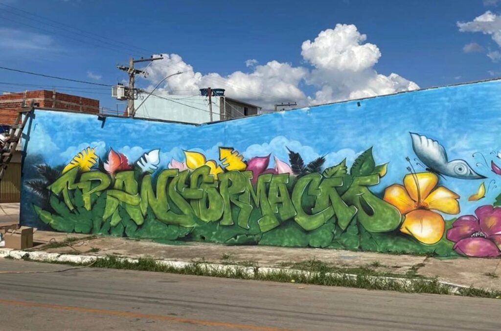 PCDF e grafiteiros se unem para revitalizar muros pichados pelo PCC