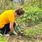 Plantio de 500 mudas transforma área do P Sul em novo corredor ecológico