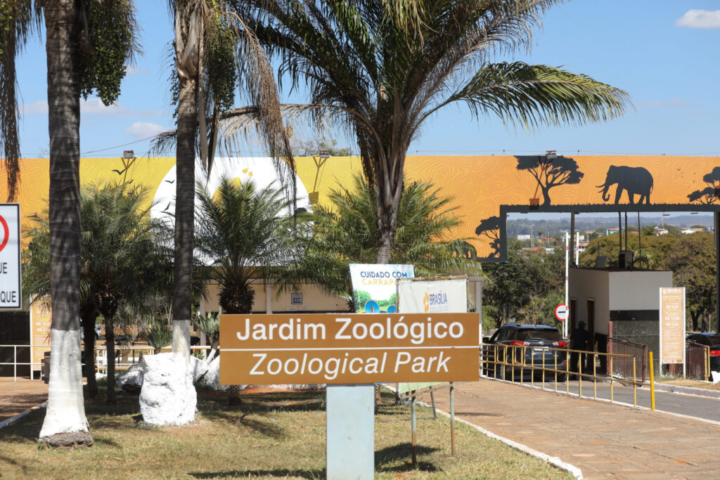 Zoológico de Brasília vive 2025 repleto de marcos históricos