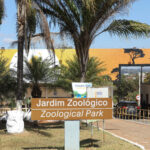 Zoológico de Brasília vive 2025 repleto de marcos históricos