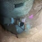 Homem é preso ao tentar furtar cabo de energia no Noroeste