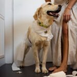 Mulher que jogou cocô de cachorro no rosto de vizinho é condenada