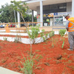 Operação retira mais de 60 toneladas de lixo e transforma áreas do Setor Comercial Sul