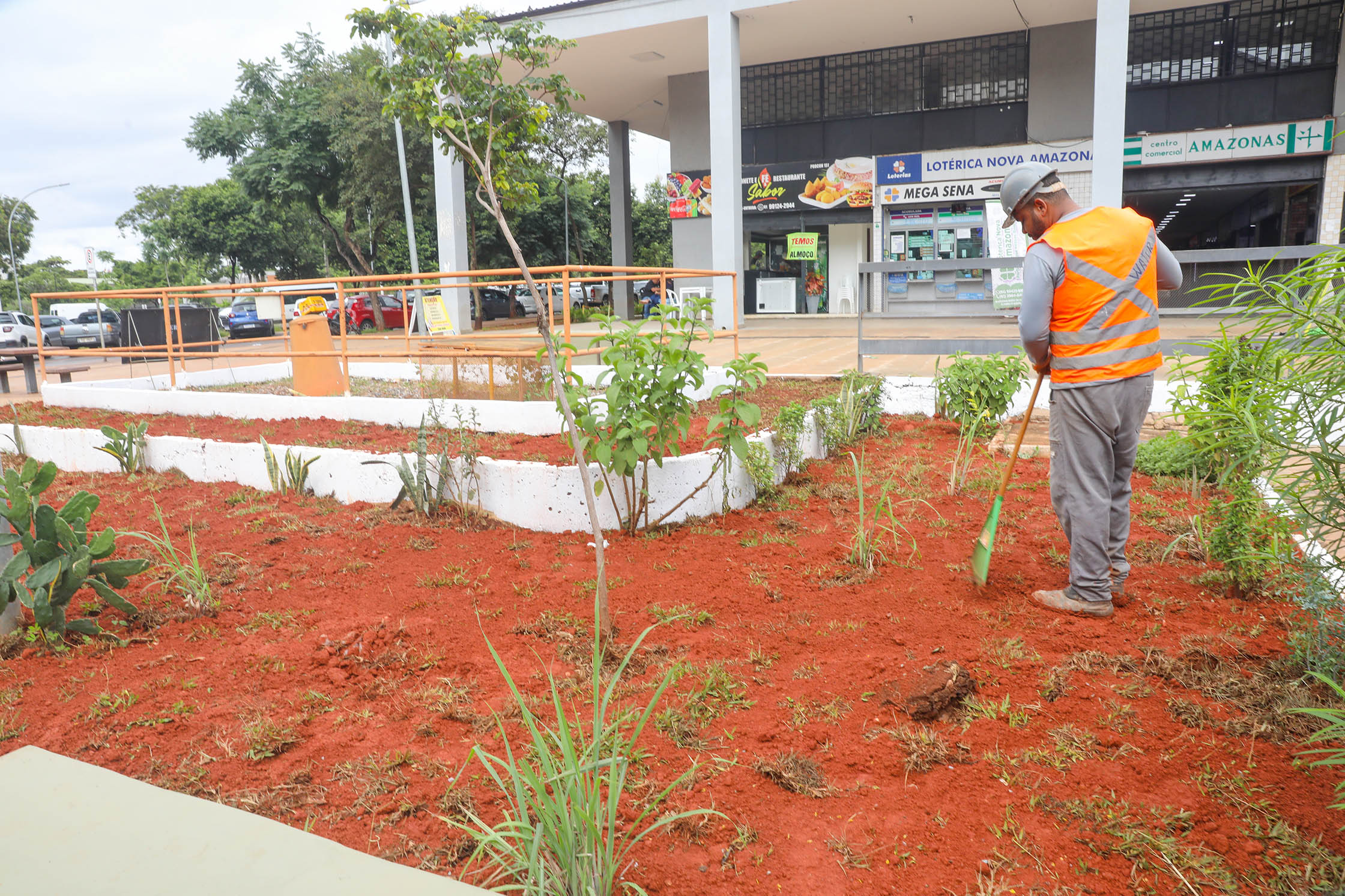 Operação retira mais de 60 toneladas de lixo e transforma áreas do Setor Comercial Sul