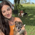 Tutora que quase matou cão é absolvida, mas impedida de tê-lo de volta